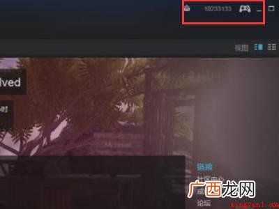华为MateBook X下steam账号价值在哪看 steam账号价值在哪看