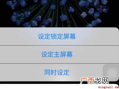 苹果的壁纸在哪里设置的具体操作步骤 苹果的壁纸在哪里设置