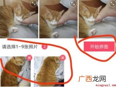 演示机型:Iphone 12 如何两张照片合成一张照片