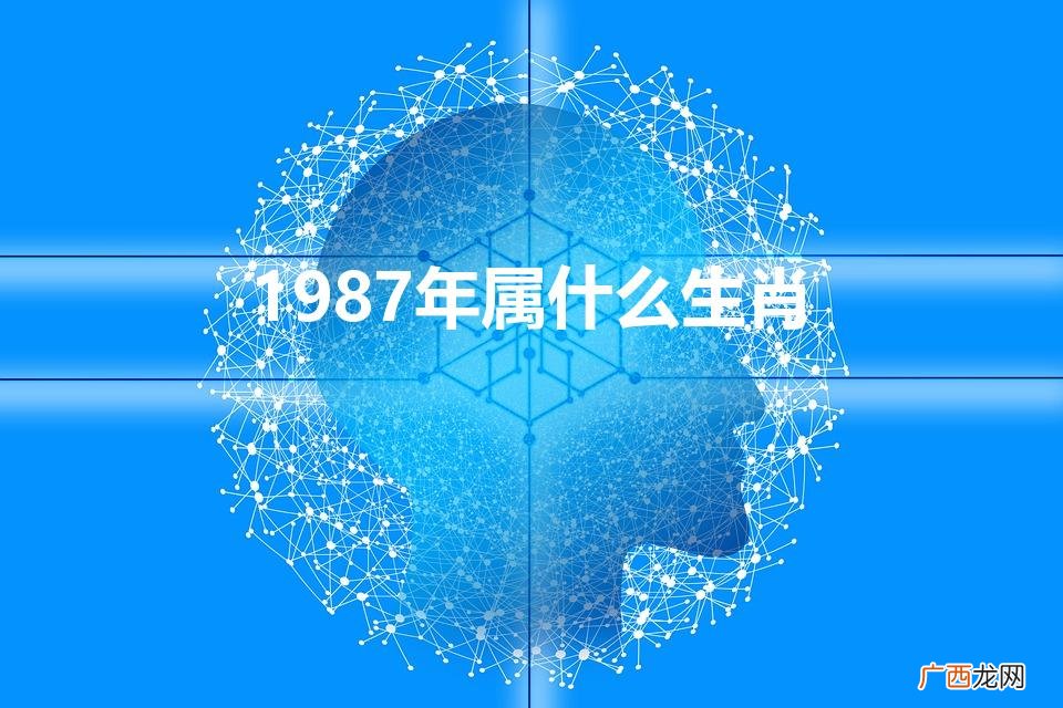 1987属什么生肖年 1987年属什么生肖
