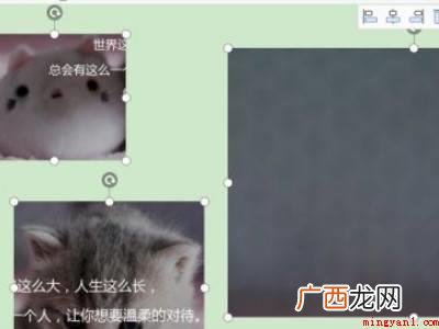 wps中word图片怎么统一调整大小