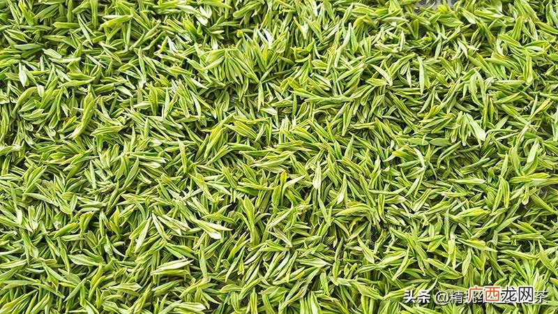 口感怎么样 安吉白茶产地哪里