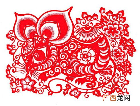 最聪明机智的生肖排行 十二生肖哪个最机灵