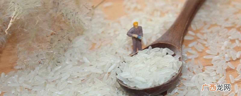 速食米饭的米是重组米 速食米饭的米是什么米