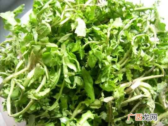 在平时生活中烹制荠菜的时候我们应该注意些什么 荠菜怎么做好吃