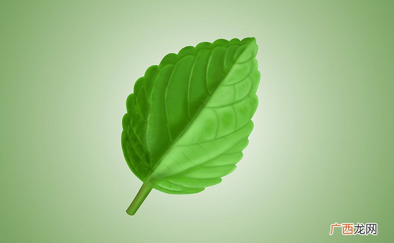 俄罗斯伊丽莎白一世简介 俄罗斯伊丽莎白一世