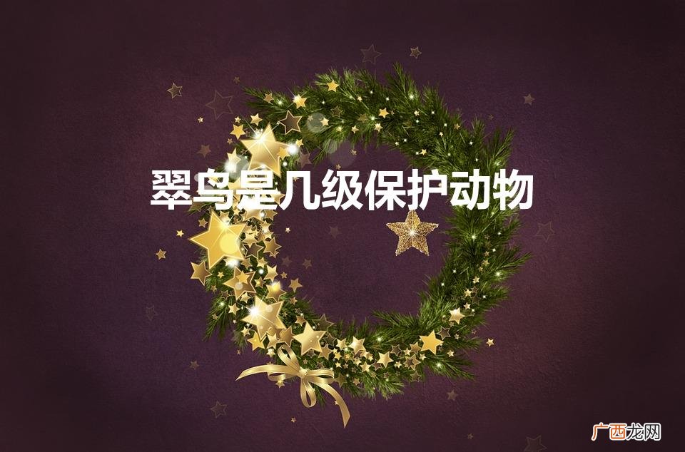 翠鸟是国家保护动物吗 翠鸟是几级保护动物