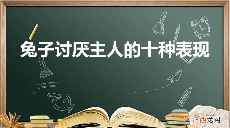 兔子不理人的表现 兔子讨厌主人的十种表现
