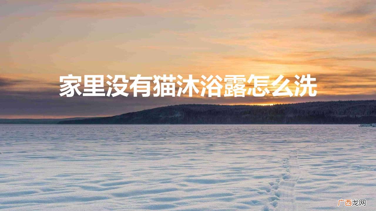 猫洗澡可以用香皂 家里没有猫沐浴露怎么洗