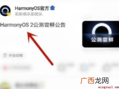鸿蒙系统怎么设置的具体操作步骤 鸿蒙系统怎么设置