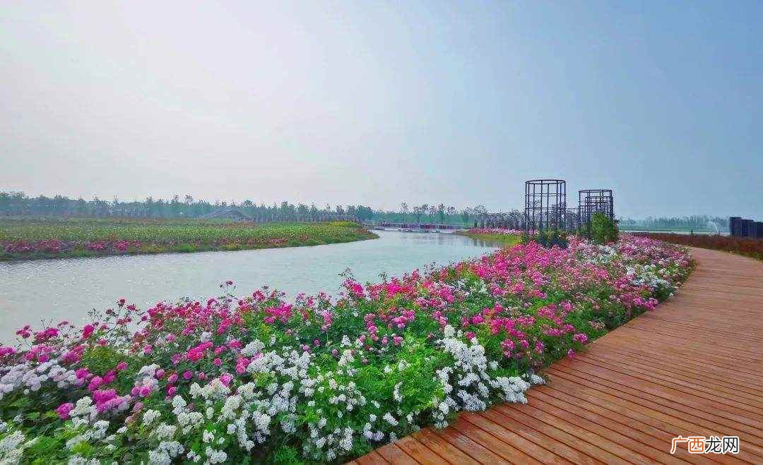 2022年泗阳县地区生产总值479 泗阳县属于哪个市