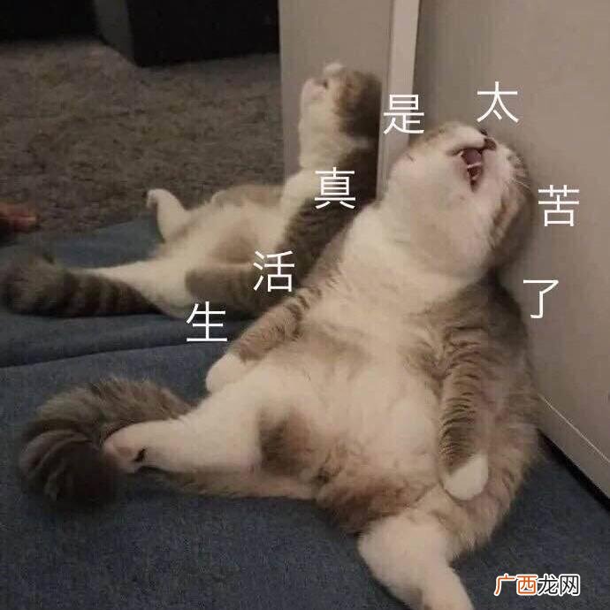 4款释放未泯的童心的玩具 解压玩具产品介绍