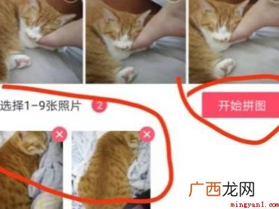 演示机型:Iphone 12 怎么把两张照片拼成一张照片