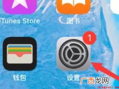 苹果手机打电话没声音的具体操作步骤 苹果手机打电话没声音
