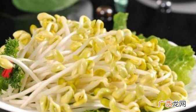 黄豆芽不能搭配哪些食物 黄豆芽不能和什么一起吃