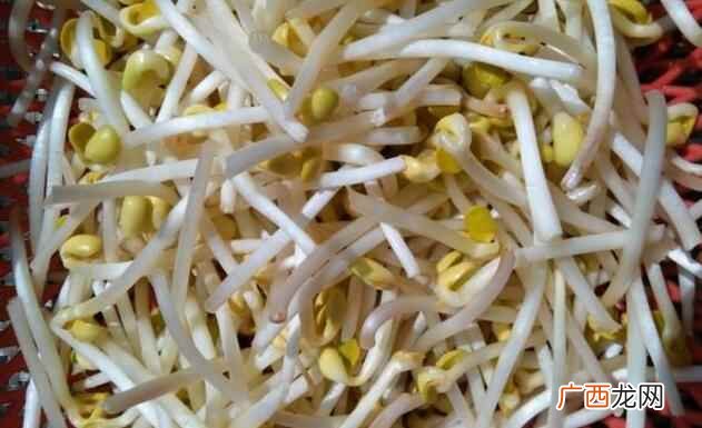 黄豆芽发苦是什么原因