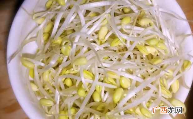 孕妇可以吃黄豆芽吗