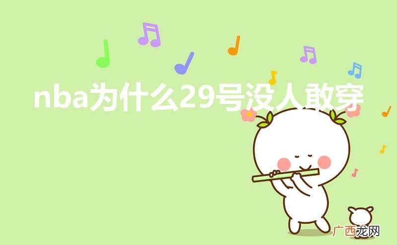 nba29号球星是谁 nba为什么29号没人敢穿