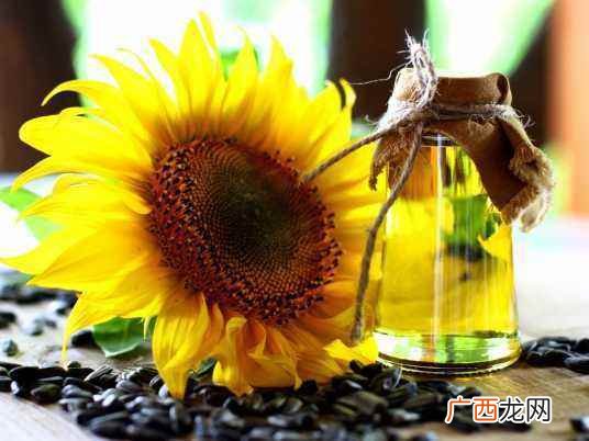 葵花籽油的相关做法 葵花籽油的食用方法