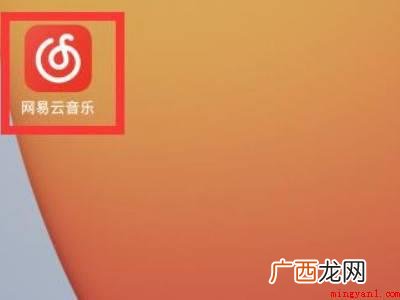 苹果网易云没有开启同时播放的具体操作步骤 苹果网易云没有开启同时播放