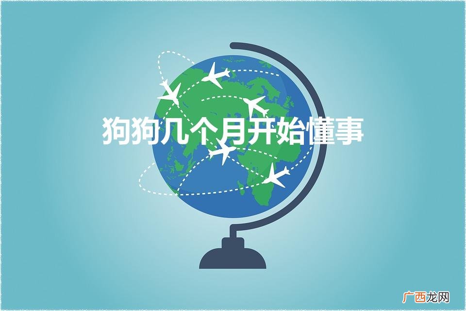 狗狗几个月开始懂事（狗狗为什么喜欢假咬主人)