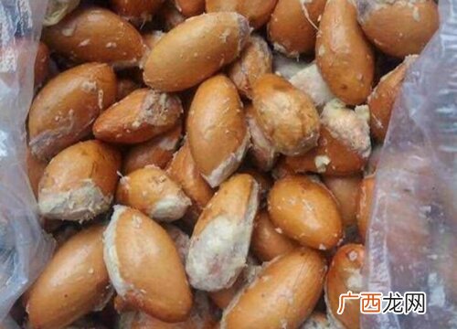 榴莲籽的功效与作用及食用方法 榴莲籽可以吃吗