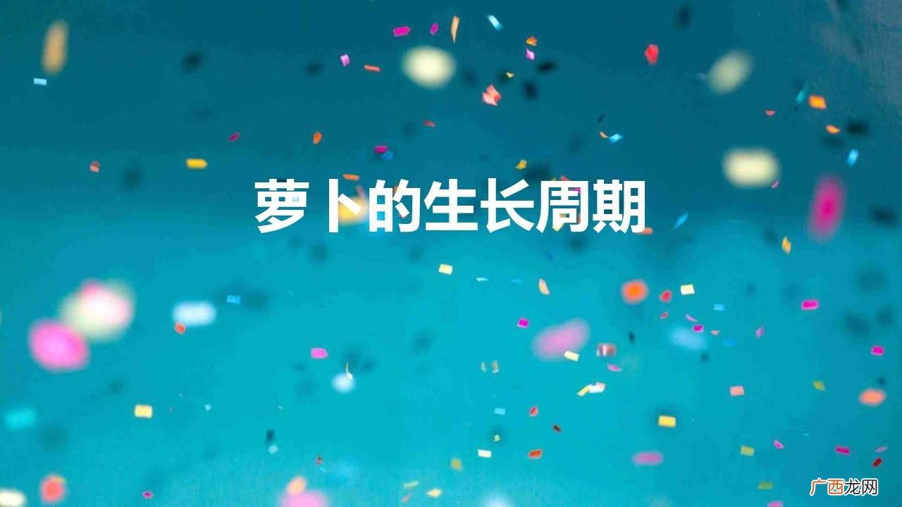 萝卜的生长周期