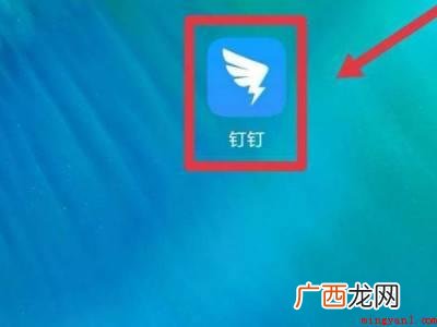 演示机型:Iphone 12 钉钉怎么拉人