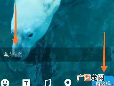 演示机型:Iphone 12 怎么把微信朋友圈封面换成动态视频