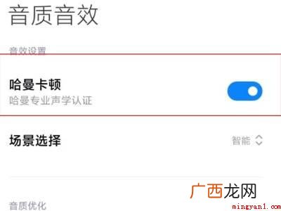 小米10s无法关闭哈曼卡顿的具体操作步骤 小米10s无法关闭哈曼卡顿