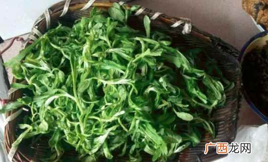 怎么吃清明菜