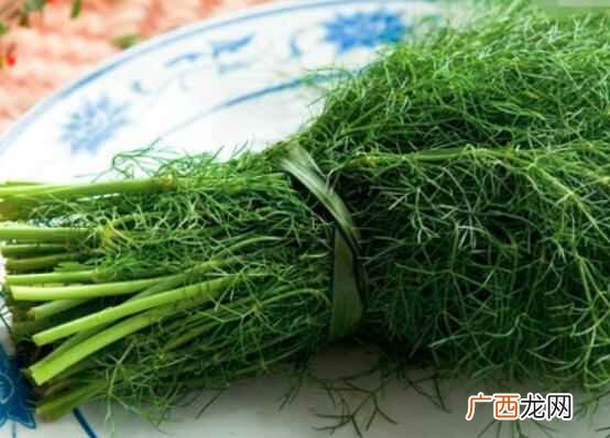 茴香怎么洗