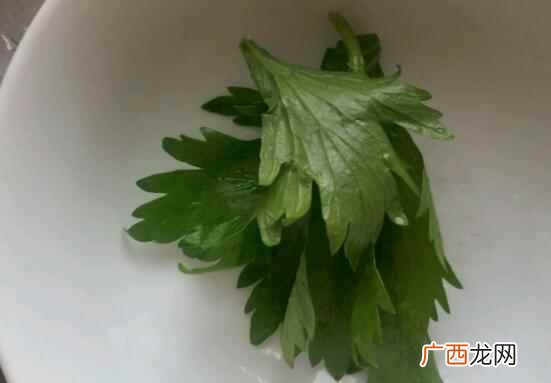 芹菜可以降血压吗 吃芹菜叶可以降血压吗
