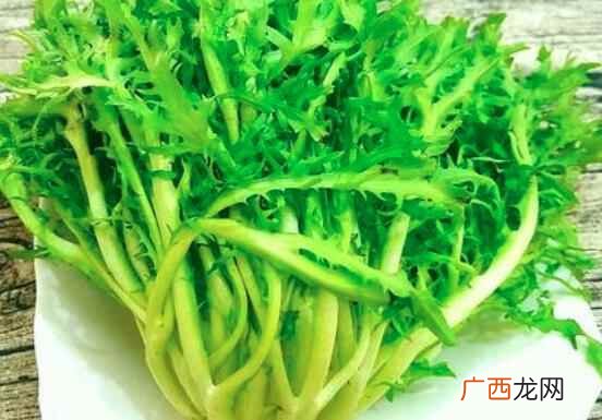 苦菊不可以和蜂蜜一起吃 吃苦菊的注意事项