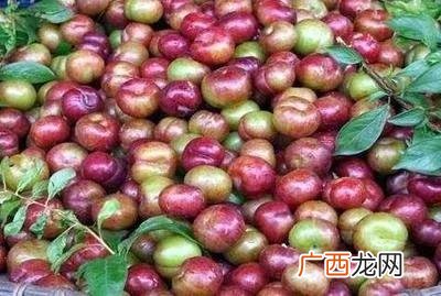 明清时期水族传统习俗知识 水族服饰文化习俗