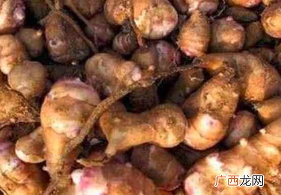 洋姜不能和什么一起吃