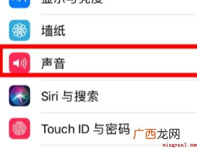 苹果媒体音量和铃声怎么分开