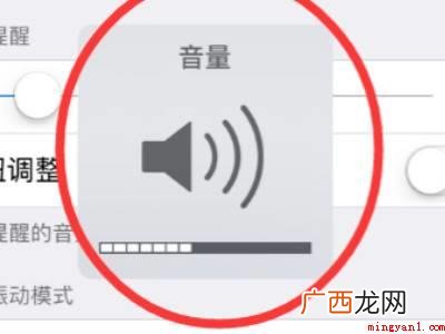 苹果媒体音量和铃声怎么分开
