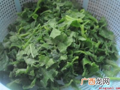 南瓜叶子怎么炒才好吃的具体操作步骤 南瓜叶子怎么炒才好吃