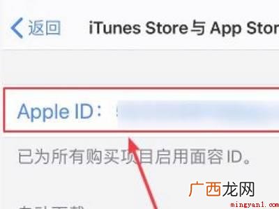 苹果支付明细在哪的具体操作步骤 苹果支付明细在哪