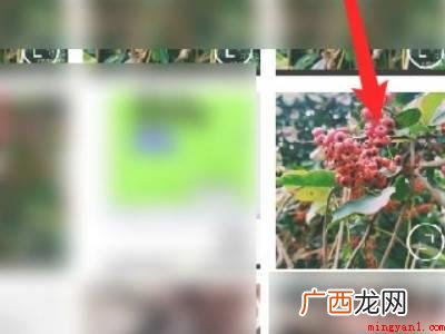 演示机型:Iphone 12 醒图可以去水印吗
