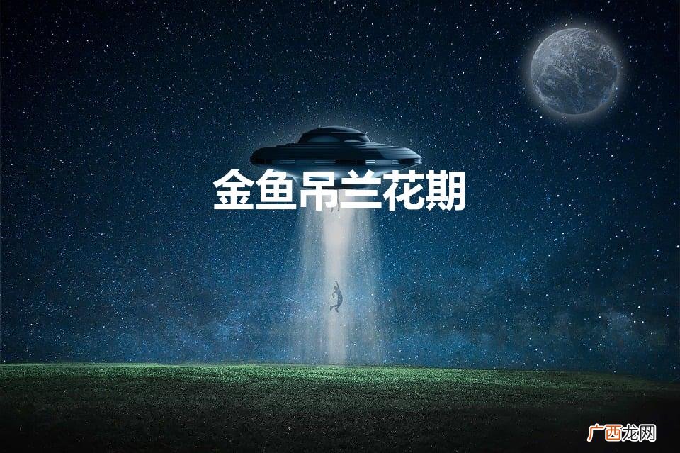 金鱼吊兰几月开花 金鱼吊兰花期