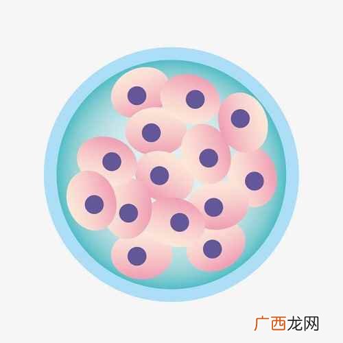 单核细胞偏高需要注意以下几点 单核细胞偏高说明什么