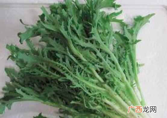 苦菊存在营养价值不了解 苦菊的营养价值
