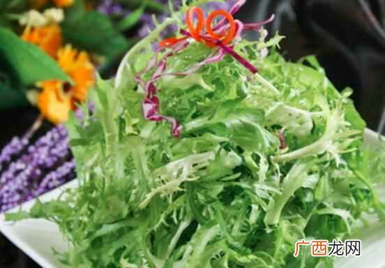 苦菊不可以跟葱一起吃 苦菊不能和什么一起吃