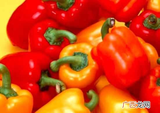 彩椒不能和什么食物一起吃 彩椒不能和什么一起吃