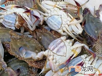 白蟹水煮15分钟好吃的具体操作步骤 白蟹水煮几分钟好吃