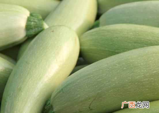 吃西葫芦的注意事项有哪些
