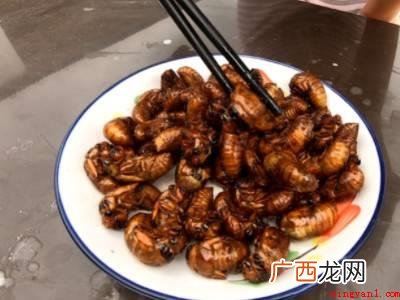 蝉怎么吃的具体操作步骤 蝉怎么吃