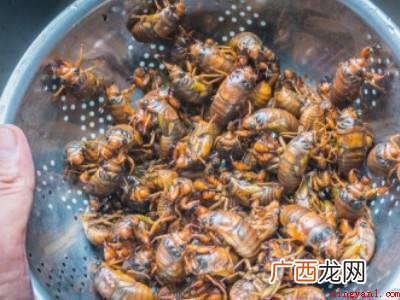 蝉怎么吃的具体操作步骤 蝉怎么吃